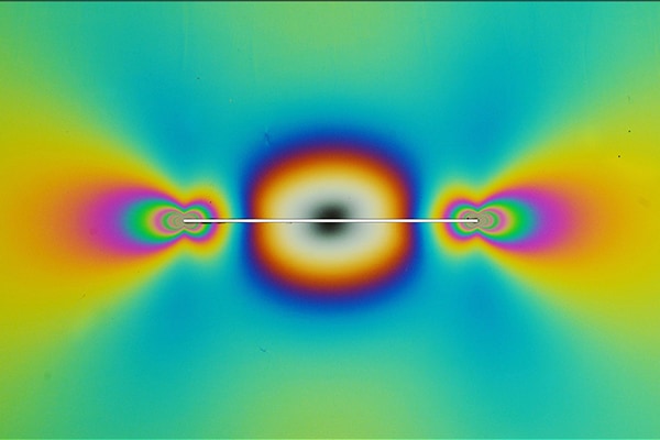 Breaking Down the Mechanics of Polymers: From Networks to Viscoelasticity