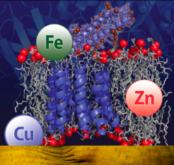 Inorganic Chemistry image